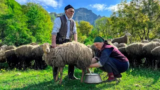 How Do Shepherds Live Nowadays? Making Sheep Milk Cheese and Cooking a Delightful Dinner