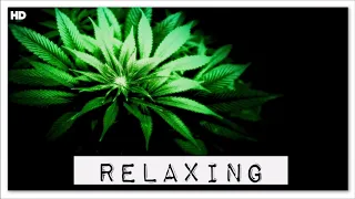 A Journey Into Sound | Weed Smoke Coffee Shop Relax Chill Instrumental Music