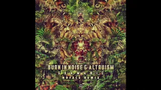 Burn In Noise & Altruism - Shamanic (NoFace Remix) - Official