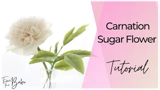 Carnation Sugar Flower Tutorial ⎸Step by Step How to Make a Carnation