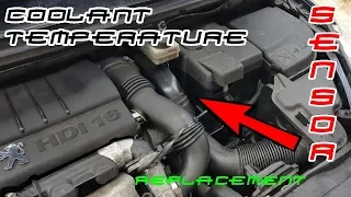 How To Replace Coolant Temperature Sensor On Peugeot 307