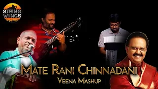 Materani Chinnadani Veena Mashup || Ilaiyaraaja || SP Balasubramaniam ||Phaninarayanaveena