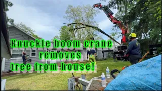 KNUCKLE BOOM CRANE removes tree from house!!! #arborist #arboristlife