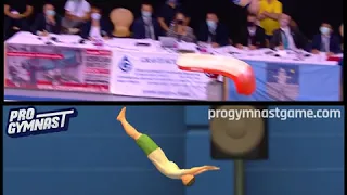 Pro Gymnast Vaults