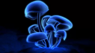 Junkie XL - Mushroom [HD]