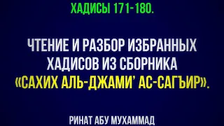 18. «Сахих аль-Джами’ ас-Сагъир». Хадисы 171-180. || Ринат Абу Мухаммад