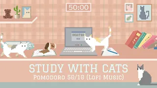 Study with Cats 📔 Pomodoro timer 50/10 | Soft lofi + Cat animation for a stress-free study session♡