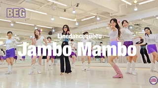 Jambo Mambo Line Dance l Beginner l 잠보 맘보 라인댄스 l Linedancequeen