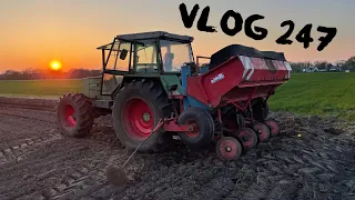 Farmvlog #247 | Reingelegt - Kartoffeln setzten mit Gruse und Fendt Favorit 611 LS