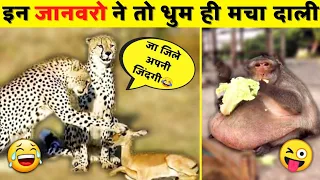 😜इन जानवरों ने तो सच में मौज ही कर दी | Indian Animal Funny Videos 2022 | Funny animal videos