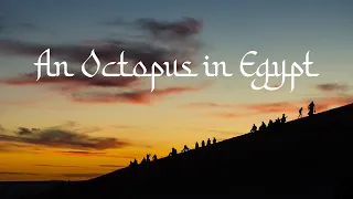 An Octopus in Egypt