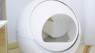 Автоматический туалет для кошек Petree | Automatical cat toilet Petree