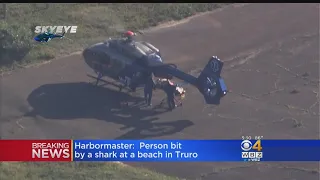 Person Bit By Shark At Cape Cod Beach