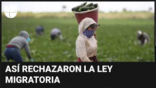 Agricultores en Florida sienten los efectos de la ausencia de inmigrantes en sus puestos de trabajo