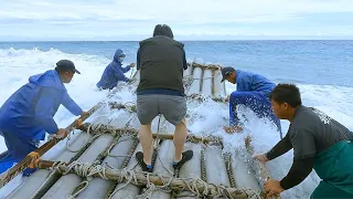 Surf Fishing: 15-Day Dry-aged Swordfish Sashimi, Caught in Offshore Nets.