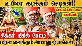 கொல்லிமலை: வேற்று உலகத்திற்கு போகும் பாதை! திக் திக் அனுபவங்கள்- கருவூரார் சித்தர் திகில் பேட்டி