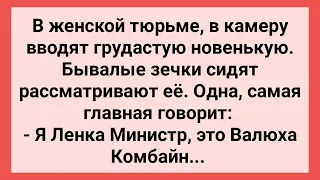 Новенькая в Камере с Бывалыми Зечками! Сборник Свежих Смешных Жизненных Анекдотов!