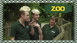 ZOO LIVE (RTÉ) Jedward