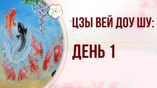 Астрология Цзы Вей Доу Шу.  Характеристика Главных Звезд. День 1