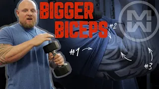 5 Bicep Exercises for Bro's (How to Build Biceps Safely!)