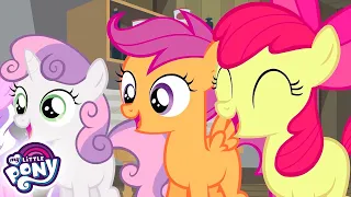 My Little Pony: A Amizade é Mágica em português | Os melhores episódios de Cruzados Cutie Mark👧👧👧