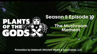 Plants of the Gods S5E10 | The Mushroom Moment