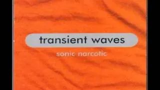 Transient Waves - Paradise [1999]