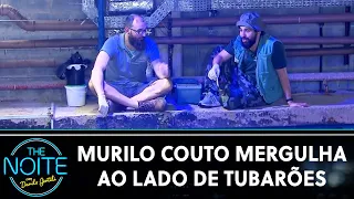 Murilo Couto foi atacado por tubarões durante mergulho? | The Noite (15/09/23)