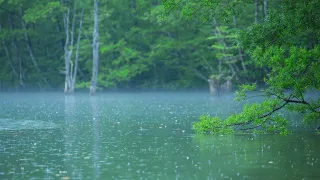 Spokojny fortepian i delikatny deszcz - Relaksująca muzyka do snu