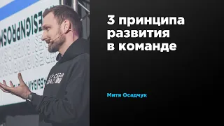 3 принципа развития в команде | Митя Осадчук | Prosmotr