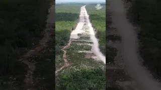 AMLO supervisa Tren Maya y lo califica como una obra "majestuosa"