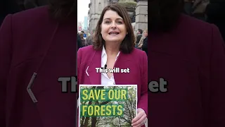 Jennifer Whitmore outside Leinster House protesting against the Coillte deal with Gresham House