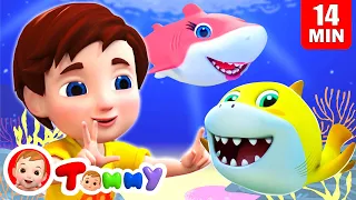 Baby Shark Doo Doo Doo - Sing And Dance & More Nursery Rhymes Song |  Tommy Nursery Rhymes