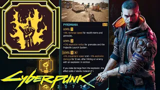 'Pyromania' In Depth Breakdown! How Things Work In Cyberpunk 2077! (Not What You Think!)