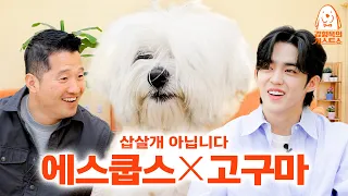 Kang Hyung-wook also failed to train S. Coups' dog Ko Kkuma a.k.a Kkuma [Dog-guest Show] EP. 12