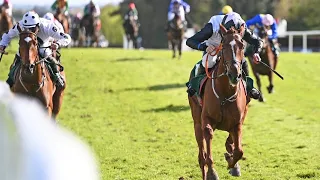 SERMANDZARAK continues winning form in the Goffs Defender Bumper at the Punchestown Festival