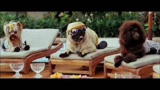 Крошка из Беверли-Хиллз / Beverly Hills Chihuahua