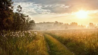 Смерть приходит не случайно...