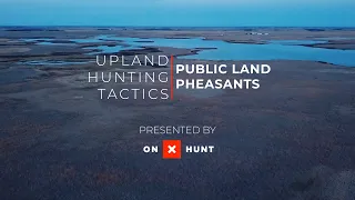 Upland Hunting Tactics with onX: Public Land Pheasants