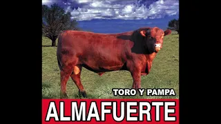 Almafuerte - Toro y pampa (AUDIO)