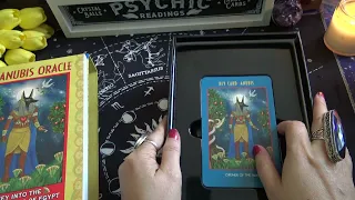 The Anubis Oracle | Full Flip Through of Each Card