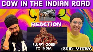 INDIAN Couple in UK React on Fluffy Goes To India | Gabriel Iglesias