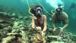 Destin Snorkel Tours - Video 04 - SNUBA Diving