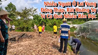 Rất nhiều Rắn độc con, xuất hiện khiến nhiều người phải hoảng sợ | TGSB #884