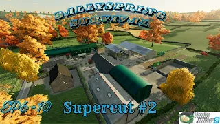 Ballyspring Survival EP 6-10 | Supercut