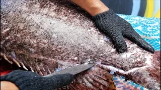 Thai Street Food - $1500 GIANT GROUPER Bangkok Seafood Thailand