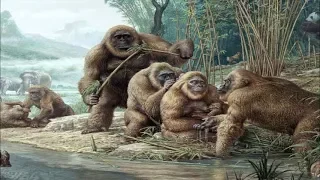 Gigantopithecus - The Largest Ape That Ever Existed! / Documentary (English/HD)