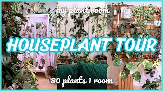 HOUSEPLANT TOUR 2023 🌿💚 part 1 | ALL THE PLANTS IN MY PLANT ROOM