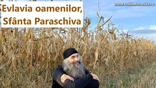 Evlavia oamenilor, Sf Parascheva - p. Pimen Vlad