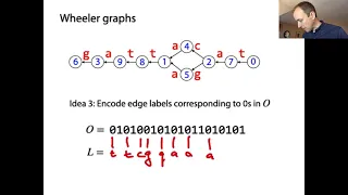 Wheeler graphs, part 5: Data structures